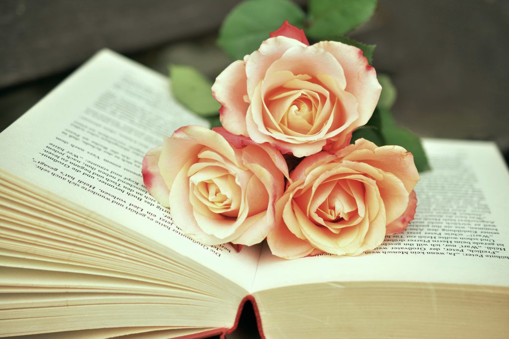 Llibre i roses